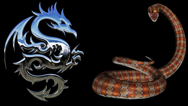 Dragón y serpiente