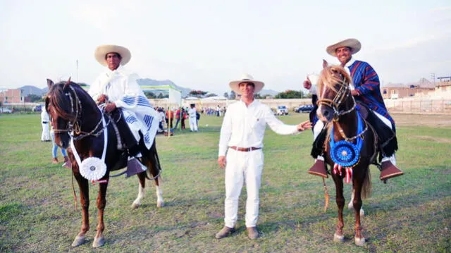 Lambayeque: Más de 70 ejemplares participaron en el II concurso de Caballo Peruano de Paso en Cayaltí