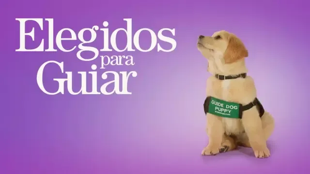 Elegidos para guiar. Foto: Disney Plus