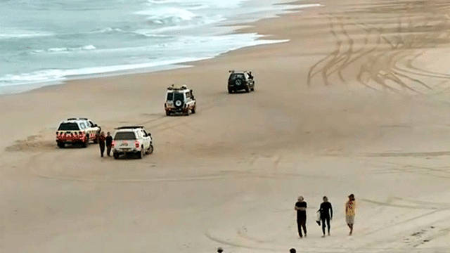 El incidente se produjo en la playa Wooli de Nueva Gales del Sur. Foto: Nine News.