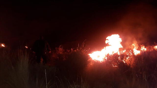 Incendio forestal en Arequipa no logra ser controlado [EN VIVO]