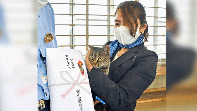 La minina recibió una dotación de comida para gatos. Foto: Kyodo.