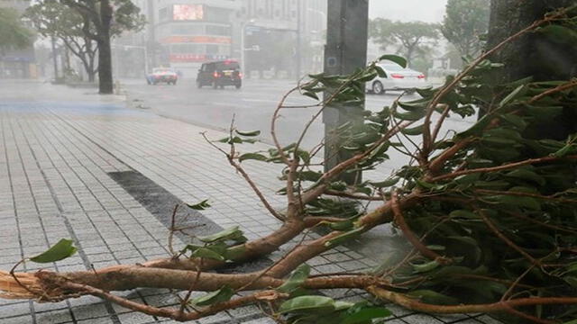 Tifón Trami golpea Japón, desencadena inundaciones y deja 84 heridos 