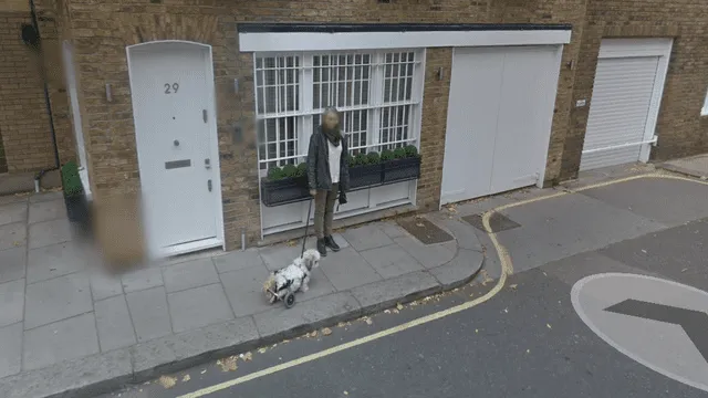 Google Maps: esta es la conmovedora escena de un perro que ha conquistado las redes [FOTOS]