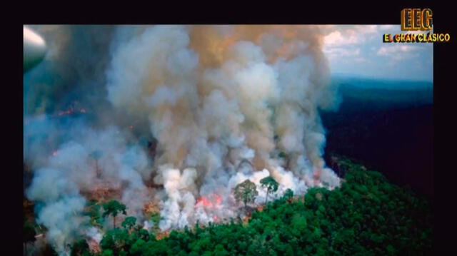 Incendio en el Amazonas