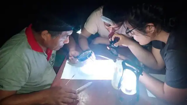 Investigadores de la UNTRM identifican al vector transmisor de la malaria en Amazonas