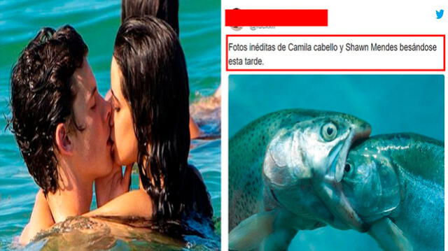 Camila Cabello y Shawn Mendes se volvieron virales por sus besos en las playas de Miami.