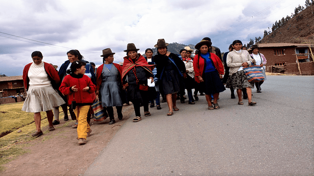 LA MADRE: Proyecto de investigación y memoria sobre las esterilizaciones forzadas en Perú 