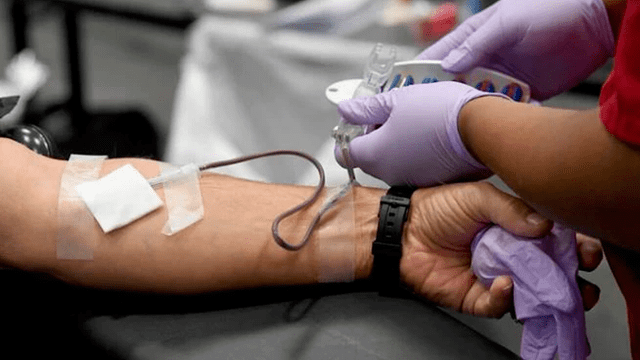 Uso de plasma sanguíneo para pacientes COVID-19 es terapia “experimental”, asegura la OMS