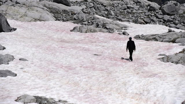 Nieve rosada en los Alpes. Foto: AFP.