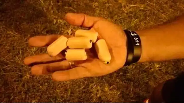 Sujetos insertaron alfileres en una salchicha para dársela a los perros [VIDEO]