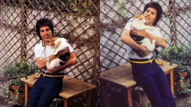  ¿Amas tanto a tus gatos como Freddie Mercury? Mira algunos datos que quizás no conocías [FOTOS]