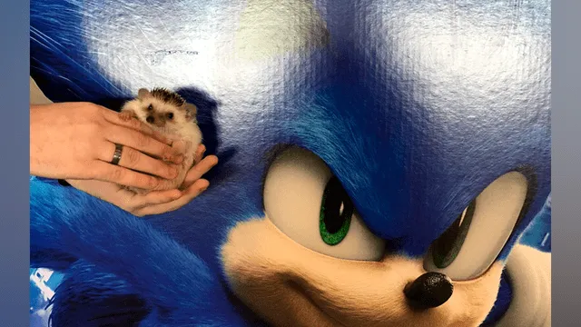 Lleva a un erizo al cine a ver Sonic y las fotografías del encuentro enternecen a miles