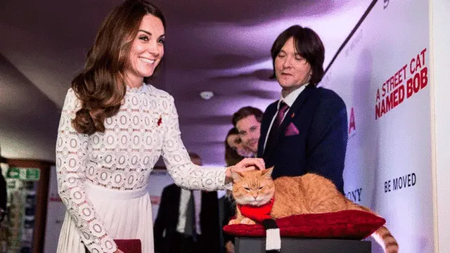 El gato en la premiere de la película sobre su historia, lanzada en 2016. Foto: Getty Images.