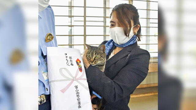 Tomoko Nitta y su gata Koko recibieron un premio el 27 de junio por haber rescatado a un anciano. Foto: Kyodo