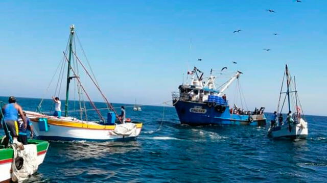 Piura: pescadores de Máncora denuncian pesca de arrastre en el mar de Talara