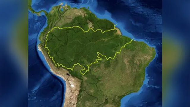 La Amazonía abarca zonas de Brasil, Perú, Colombia, Venezuela, Bolivia, Ecuador, Guayana francesa, Guyana y Surinam.