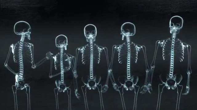 "Doctor Playbook": los cinco protagonistas pasan por rayos X antes de revelar sus identidades.