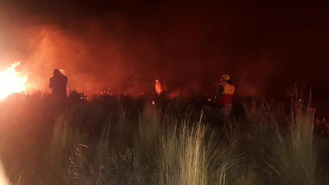 Incendio forestal en Arequipa no logra ser controlado [EN VIVO]
