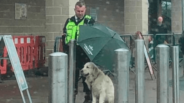 Vigilante protege a perrito de fuerte lluvia que tiritaba de frío a la espera de su dueño [FOTOS]