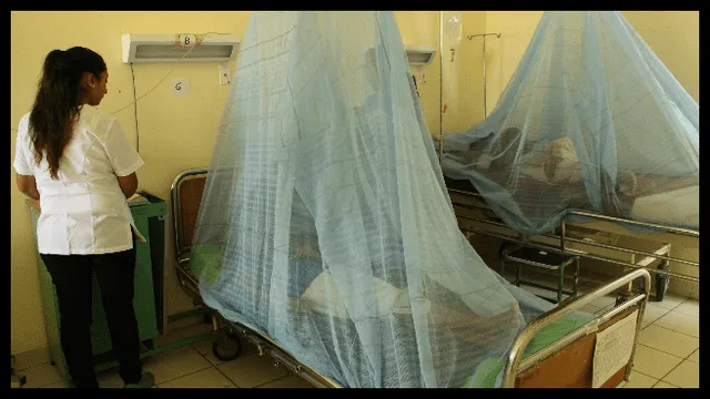 Más de 150 policías infectados con dengue reciben cuidados intensivos 