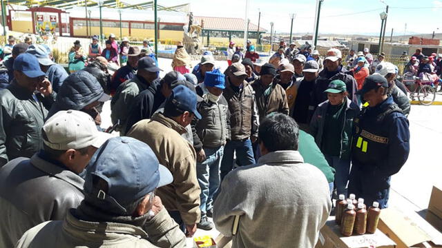 Gobierno entregó ayuda para proteger ganado ante intensas heladas en Arequipa [FOTOS]