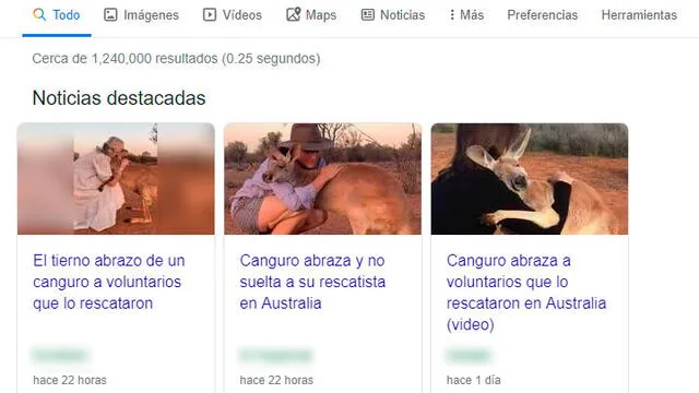 Fotos y videos de un canguro abrazando a su supuesta "rescatista" han sido viralizados.