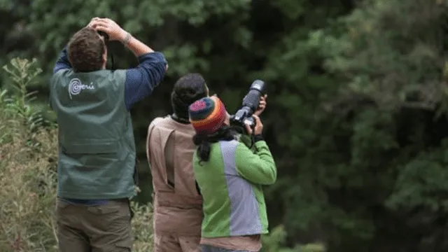 Eligen a Perú como el mejor destino del mundo para la observación de aves 