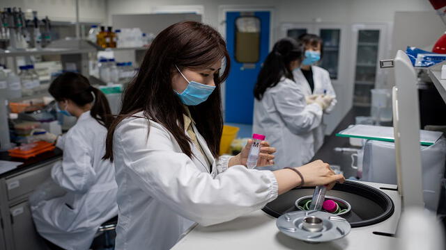 Varios laboratorios a nivel mundial se encuentran realizando ensayos para hallar la ansiada vacuna contra el nuevo coronavirus. Foto: AFP.