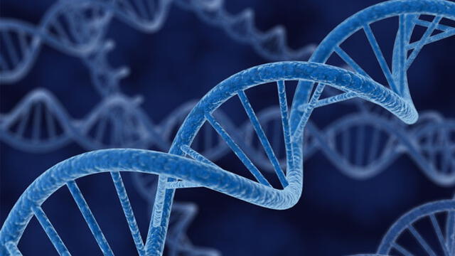 Cadenas de ADN, el código genético. Imagen: Difusión.