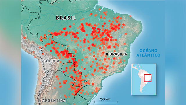 Focos de incendio en la Amazonía hasta el 22 de agosto. Infografía: AFP.