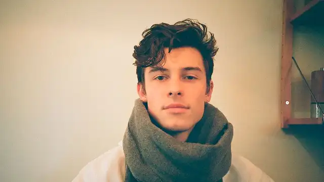 Shawn Mendes pide paciencia ante el rápido avance del COVID-19. Foto: Instagram