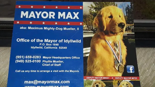 Información de contacto del Mayor Max II. Foto: Facebook Mayor Max II