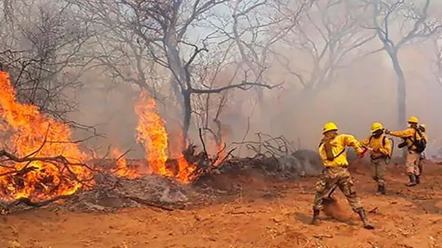 Incendio en la región amazónica de Bolivia. Foto: AFP.
