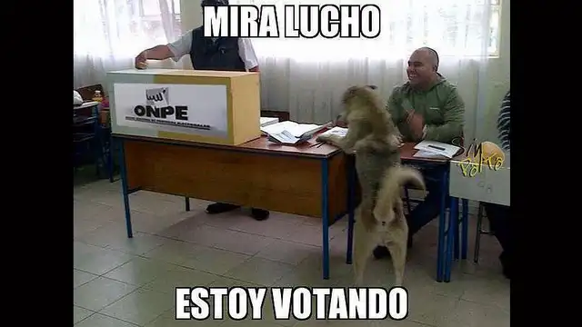 Elecciones 2018: salió la lista de miembros de mesa; memes lo festejan y lo sufren [GALERÍA]