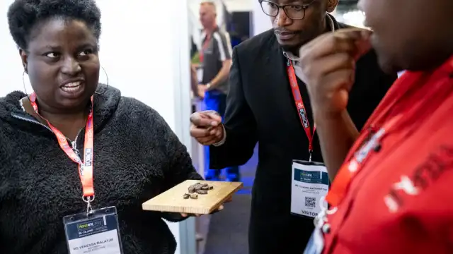 Clientes degustan orugas mopanes secas. Foto: AFP Clientes degustan orugas mopanes secas. Foto: AFP