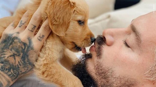 J Balvin con su cachorra Felicidad. Foto: difusión