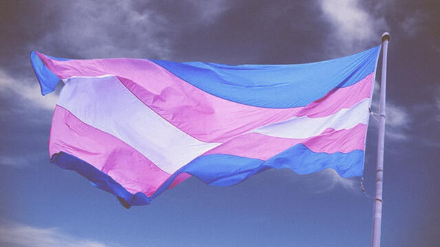 El Día Internacional de la Visibilidad Trans es para concientizar sobre su lucha y labor en la sociedad.