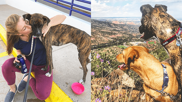 Lima 2019: perro callejero 'Coco' de Perú ahora vive en Estados Unidos.
