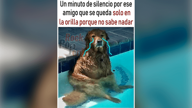 Nochevieja: mira los mejores memes de 'Año nuevo' que son virales en Facebook [FOTOS]