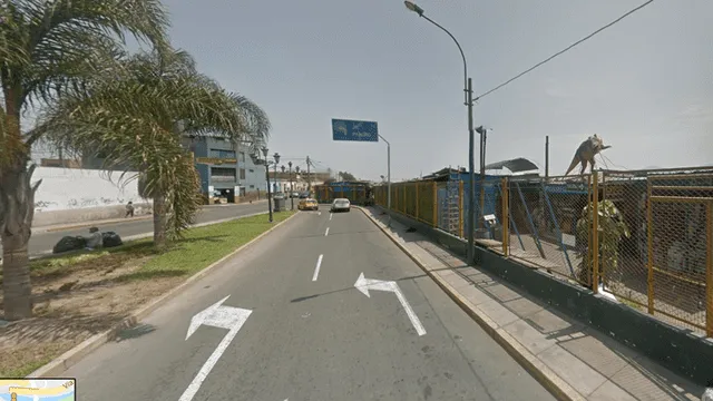 Google Maps: ¿Encuentran al dinosaurio del "¡Cállese viejo lesbiano!" en Lima?