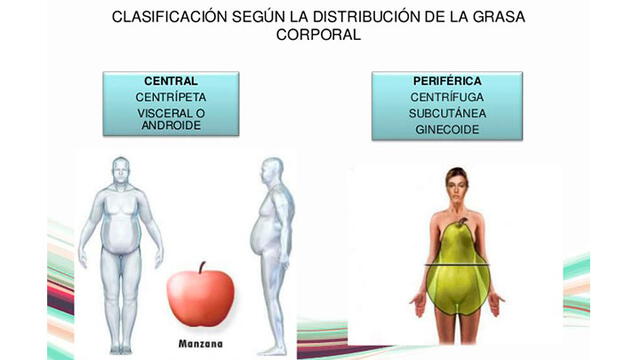Aclaración: en la obesidad centrípeta, las extremidades son delgadas, en el cuerpo de manzana, no. El cuerpo de pera es ancho en las caderas.