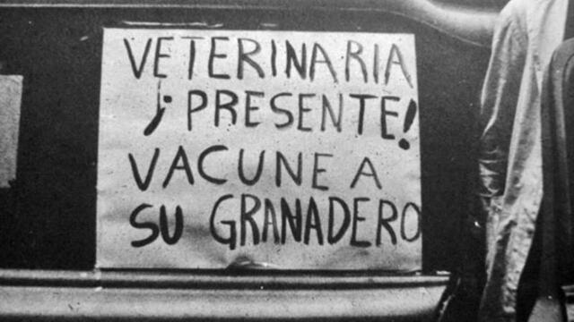 Los sobrevivientes de la masacre recuerdan al movimiento estudiantil como "alegre, creativo".