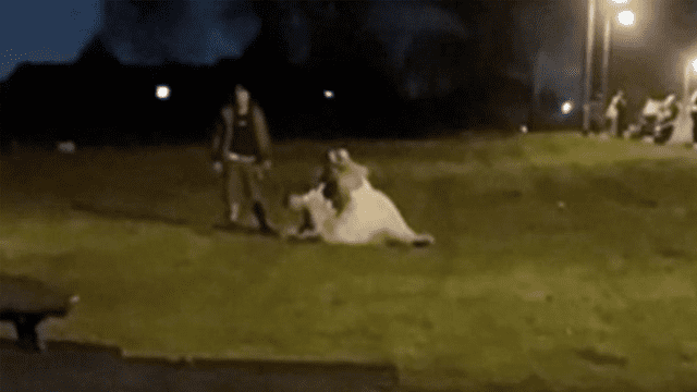 Boda termina en batalla campal con la novia peleándose e invitados inconscientes [VIDEO]