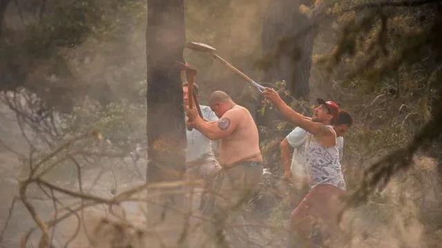 Vecinos e incluso turistas ayudaron a controlar el incendio en Villa Gessell. Foto: Maxi Failla