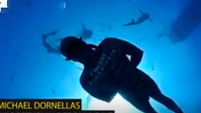 YouTube viral: gigantesco tiburón aparece en 'selfie' que intentó tomarse un arriesgado buzo [VIDEO]