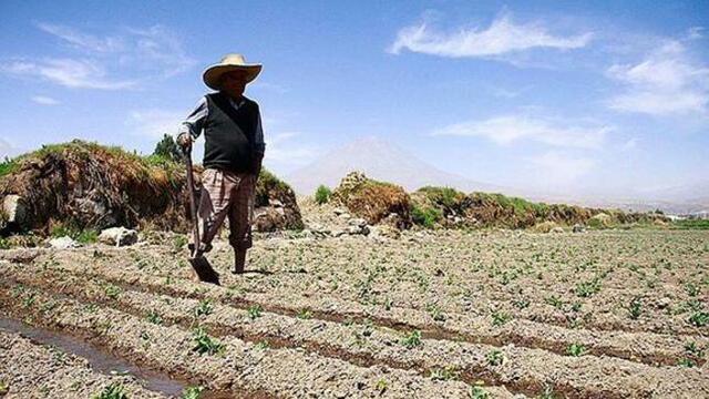 Sequías en la sierra: advierten que podría haber escasez de agua y alimentos | Incendios forestales | Midagri | Senamhi | ANA | Senasa. Foto: Agronoticias