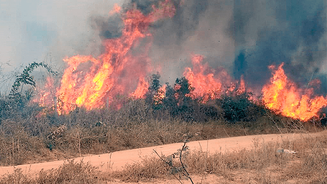 Incendio en Amazonas: Bolívar