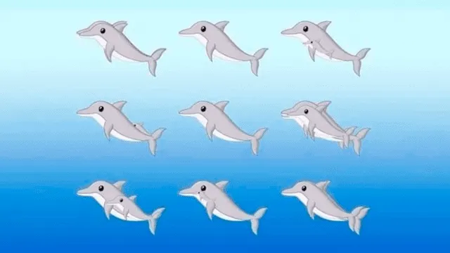 Facebook viral: ¿cuántos delfines encuentras en la imagen? El nuevo reto visual que pocos pueden resolver [FOTOS]