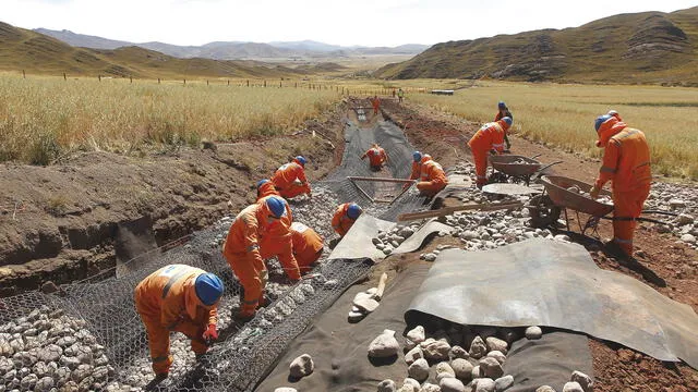 trabajo. Antes de iniciar el proceso de remediación en Cari Cari, los pastos se habian secado.  Ahora se recuperaron.